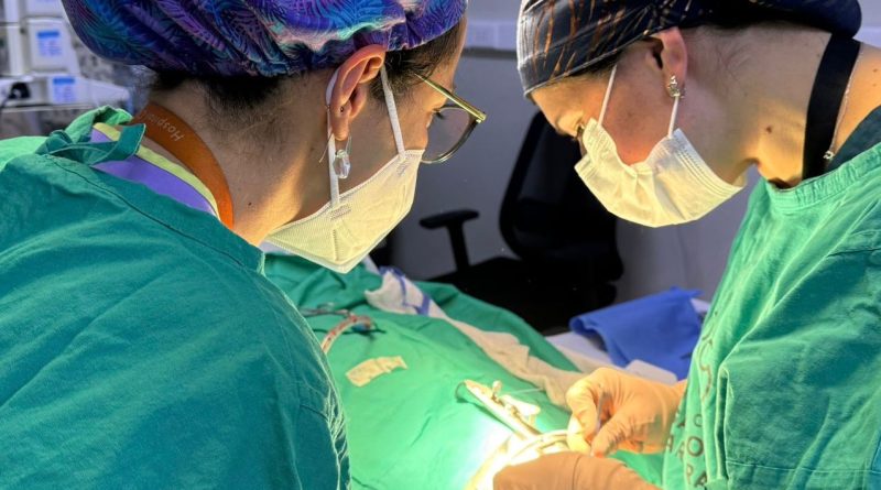 Cómo el GES de Fisura Labiopalatina ha ayudado a más de 370 usuarios del HCSBA